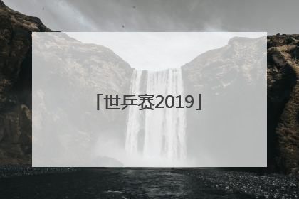 「世乒赛2019」世乒赛2019男单决赛 樊振东